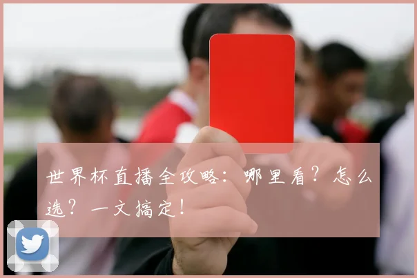 世界杯直播全攻略:哪里看?怎么选?一文搞定!